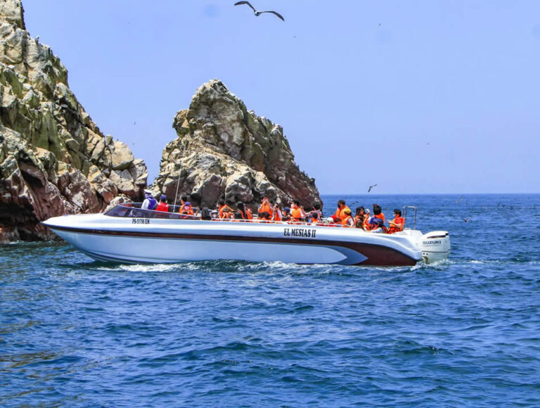 BALLESTAS ISLANDS & PARACAS RESERVE TOUR FROM ICA-imagen 1