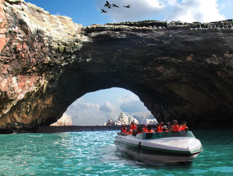 BALLESTAS ISLANDS & PARACAS RESERVE TOUR FROM ICA-imagen 3