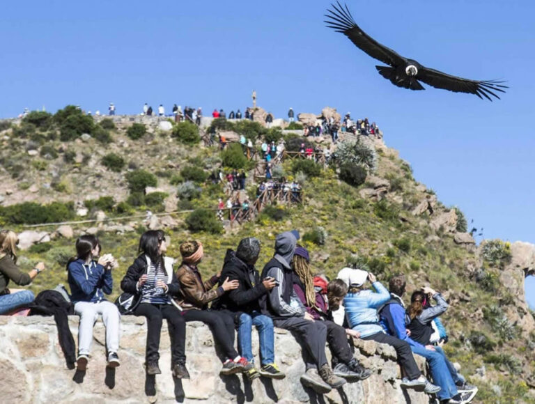 COLCA CANYON 2 DAYS - 1 NIGHT -imagen 2