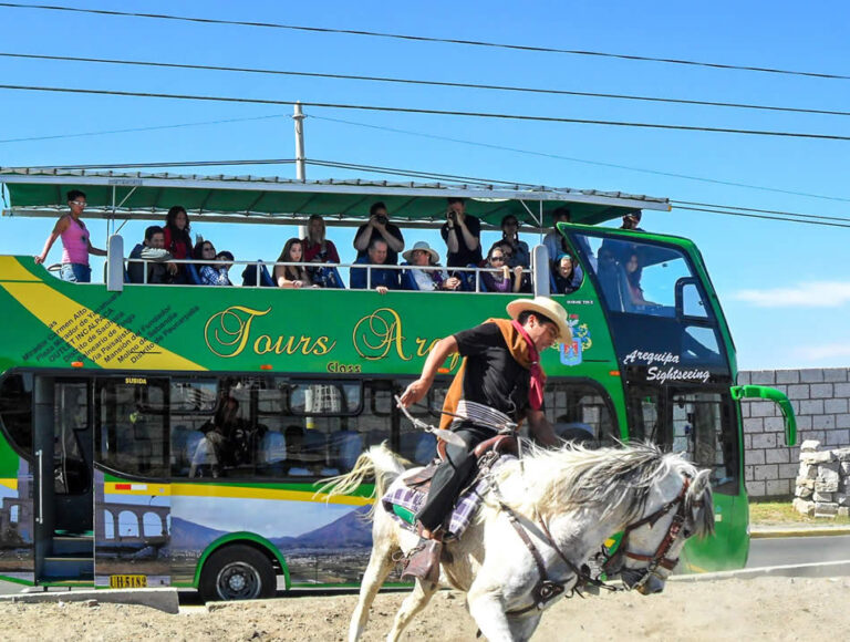 EXCURSION TO THE CAMPIÑA BY TOURIST BUS -imagen 3