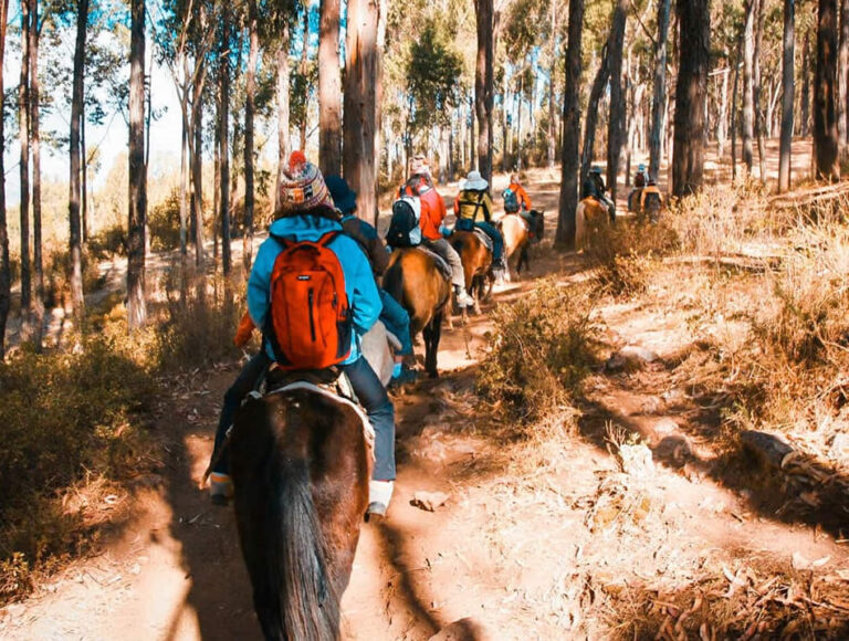 MYSTICAL HORSEBACK RIDING -imagen 3