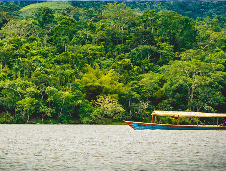 THE BLUE LAGOON TOUR -imagen 3