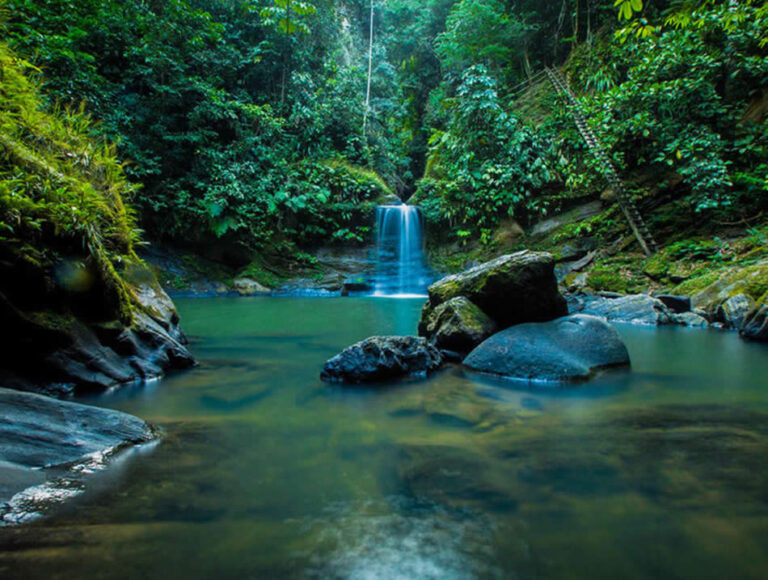 TOUR TO THE AHUASHIYACU WATERFALLS -imagen 3