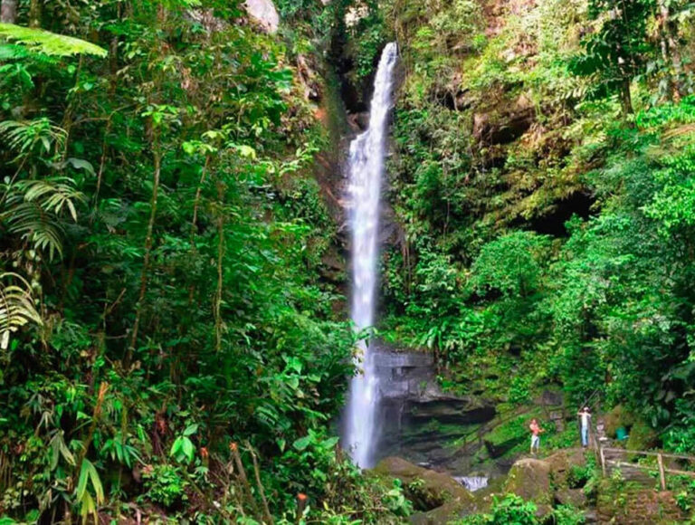 TOUR TO THE AHUASHIYACU WATERFALLS -imagen 4